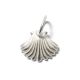 Muschel SilverShiny, Amulett S